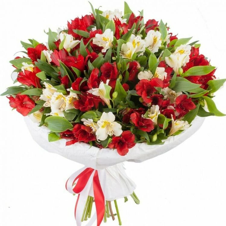 Миг от 5 200 руб.